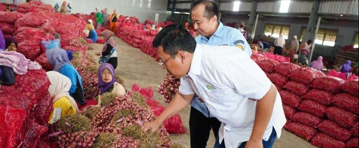 Produksi Bawang Merah di Brebes Jawa Tengah Berlebih, Bakal Diekspor ke Malaysia Hingga Vietnam