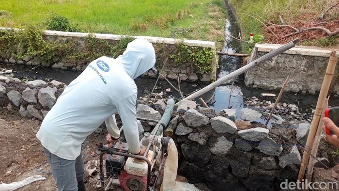 Kekeringan Akibat Kemarau, Petani di Brebes Airi Sawah Pakai Comberan